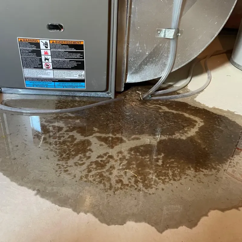 Appliance Leak Cleanup in Zuni Pueblo, NM