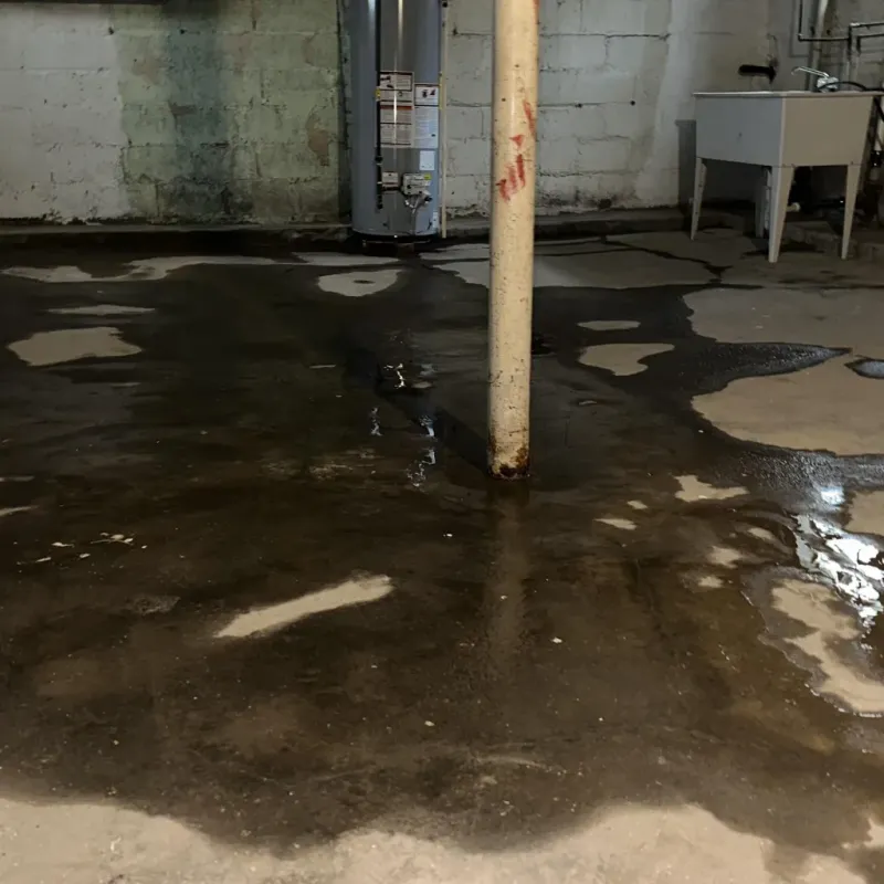 Emergency Water Extraction And Removal in Zuni Pueblo, NM